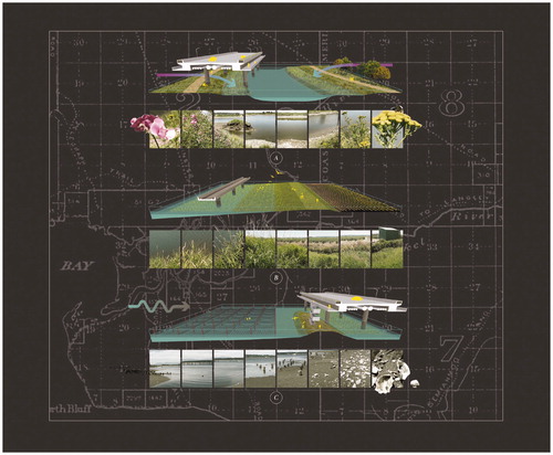 Figure 11. “Land reclamation” strategies for the Surrey floodplain. (Image by author.)