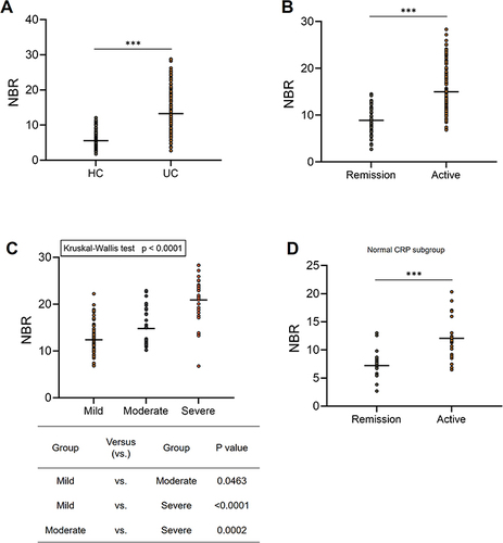 Figure 1 NBR levels are increased in patients with clinically active ulcerative colitis (UC). (A) NBR levels were evaluated in 188 patients with UC and in 145 healthy controls (HC). (B) The clinical disease activity of UC was determined by p-Mayo score. NBR levels were compared between patients in clinical remission (n = 57, p-Mayo score ≤ 2) and with active UC (n = 131, p-Mayo score > 2). Mann–Whitney test, ***P < 0.001. (C) NBR levels of patients with active UC were plotted according to p-Mayo scores (Mild, n = 69; Moderate, n = 31; Severe, n = 31). Kruskal–Wallis test followed by Dunn’s multiple comparisons test. (D) Levels of NBR were determined in UC patients with normal C-reactive protein (CRP) levels (≤ 10 mg/L). Patients with UC were divided into clinical remission (n = 18) and active (n = 20). Mann–Whitney test, ***P < 0.001.