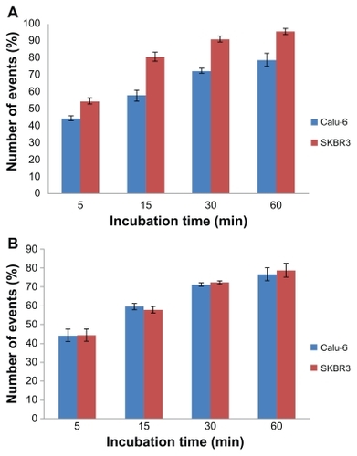 Figure 4 Gating % representing binding of targeted nanoparticles (A) and nontargeted nanoparticles (B) to the antigen in SKBR3 and Calu-6 cell lines. The concentration of nanoparticles in each sample was kept constant (0.5 mg/mL).