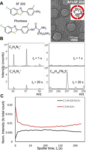 Figure 1 (A, left) Chemical structure of test agents 5F 203 and Phortress and (right) a cartoon and a representative dark field TEM image of Apoferritin-encapsulated 5F 203. (B) TOF SIMs Mass spectra of AFt-5F 203. (C) A summary of intensity change with increasing sputter time.