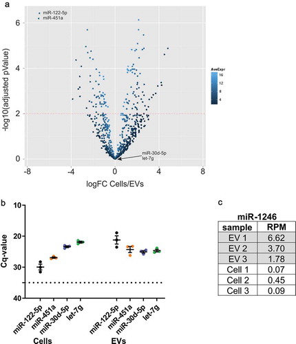 Figure 1. RNA-seq results and RT-qPCR verification of EV-associated miRNAs.(a) Volcano plot of relative representation of miRNAs in oligodendrocytes and oligodendrocyte-derived EVs. MiR-122-5p and miR-451a are strongly enriched in EVs (two top left dots marked), while miR-30d-5p and let-7g are equally represented in cells and EVs (n = 3). Red dotted line: significance level of 1% FDR (adjusted pValue = 0.01). logFC: log2 Fold Change, AveExpr: Average Expression. (b) RT-qPCR verification of miR-122-5p, miR-451a, miR-30d-5p and let-7g with independent biological replicates of cells and EVs (n = 3). Dashed line, cut-off Cq 35 defining background qPCR signal; error bars, SEM. (C) RNA-seq results indicate enrichment of the bovine- and primate-specific miR-1246 in EVs samples versus cells in all three replicates. RPM: Reads Per Million.