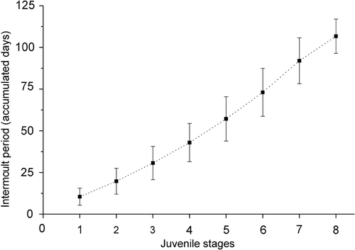 Figure 11. Armases rubripes. Relationship between intermoult period (days) and CW throughout the early juvenile development.