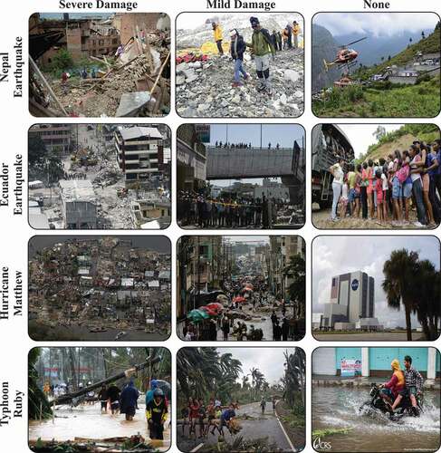 Figure 3. Sample images with different damage levels from different disaster datasets