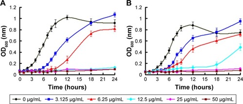 Figure 3 Bacterial growth curve of (A) Escherichia coli and (B) Staphylococcus aureus in LB liquid medium in the presence of Ag-MSNs with different concentrations. These data represent three separate experiments and are presented as mean values±SD.Abbreviations: Ag-MSNs, nanosilver-decorated mesoporous silica nanoparticles; LB, Luria–Bertani.