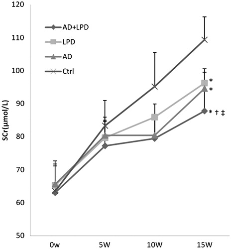 Figure 2. Scr characteristics of rats with early-stage renal failure Notes: Ctrl, control group; LPD, low protein diet group; AD, AST-120 adsorbent group; and AD + LPD, AST-120 + low protein diet group. *Compared with ctrl rats, p < 0.01. †Compared with AD rats, p < 0.01. ‡Compared with LPD rats, p < 0.01.