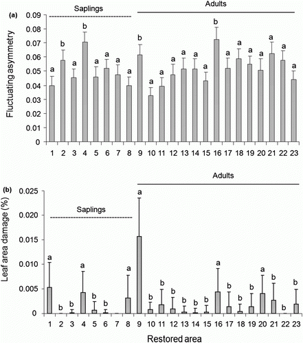 Figure 3.  Fluctuating asymmetry (A) and leaf area damage (B) between individuals located in restored area. Common letters identify means that were not statistically different according to LSMeans test (p>0.001) following ANOVA test. Error bars indicate SE.