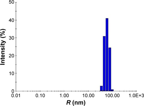 Figure 6 DLS analysis of synthesized nanoparticles.Abbreviation: DLS, dynamic light scattering.