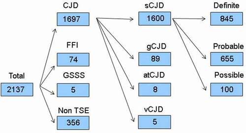 Figure 1. Diagram flow from suspect TSE notifications for 1993–2018. TSE indicates transmissible spongiform encephalopathy; sCJD, sporadic Creutzfeldt-Jakob disease (CJD); gCJD, genetic CJD; atCJD, accidentally transmitted CJD; vCJD, variant CJD; FFI, fatal familial insomnia; GSSS, Gerstmann-Sträussler-Scheinker syndrome