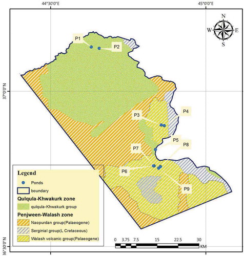 Figure 4. Geological map of the study area, NW part of the Zagros Suture (Jassim & Goff, Citation2006). Modified by the Authors.