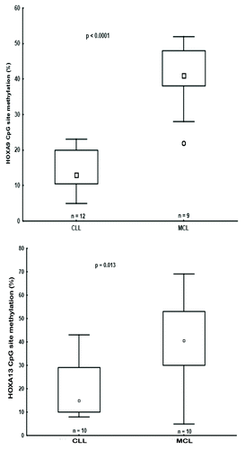 Figure 2.HOXA9 and HOXA13 genes were differentially methylated in CLL and MCL primary samples. Box plots showing DNA methylation levels of the HOXA9/HOXA13 genes in CLL and MCL primary samples, as quantified by pyrosequencing.