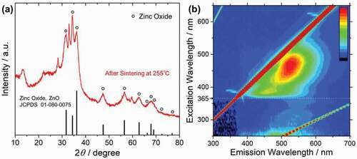 Figure 6. (a) XRD pattern of the sintered powder at 255°C assigned to zinc oxide by circular marks. (b) Photoluminescence mapping (Excitation–Emission–Intensity) of the sintered powder