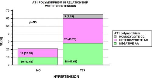 Figure 3 AT1 A1166C genetic polymorphism distribution in patients with or without hypertension.