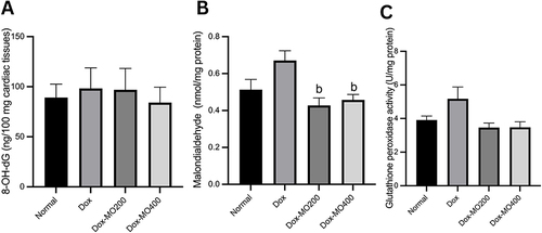 Figure 5 (A) 8-hydroxy-2’-deoxyguanosine concentration, (B) malondialdehyde concentration, (C) glutathione peroxidase from cardiac tissues of rats after treatment of doxorubicin or doxorubicin with Moringa oleifera leaves extracts.