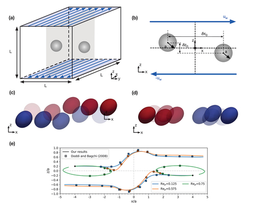 Figure 15. Example case 3: a pair of soft particles in a shear flow. (a) 3D schematic. (b) 2D cross-sectional schematic. Example migration paths of capsule pairs with (c) passing trajectory and (d) reversing trajectory; multiple time instances are overlaid with higher saturation indicating later time. (e) Migration paths of capsule pairs with increasing Rep compared to results obtained by Doddi and Bagchi [Citation335].