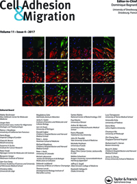 Cover image for Cell Adhesion & Migration, Volume 11, Issue 4, 2017