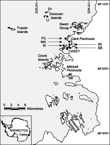 Fig. 1. Map of the Windmill Islands showing relevant locations. Codes are as follows: BB, Brown Bay; LI, Lilienthal Island; MI, Molholm Island; PC, Powell Cove; SI, Shirley Island; SB, Sparkes Bay; WK, Wilkes. The map was provided by the Australian Antarctic Data Centre.