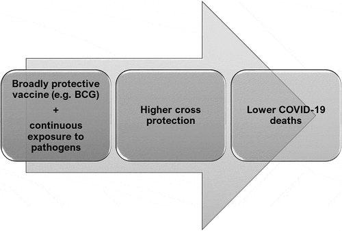 Figure 9. A model depicting the roles of vaccination and pathogen exposure on COVID-19 induced mortality: Countries having a vaccine providing broader protection, such as BCG, along with continuous exposure to pathogens provides effective cross immunity and thus lowers the numbers of COVID-19 induced deaths. It is possible that this combination will increase protection against newer pathogens in the future