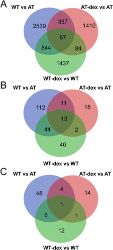 Figure 5. Venn diagram of data inferred from the three sample comparisons. In (a), the cross comparison of the three gene symbol datasets. The corresponding gene symbol lists are reported in Material S5. In (b), the cross comparison of the pathway enrichments of the moduli inferred from three data sets. The corresponding lists are reported in Material S6. In (c), the cross comparison of the pathway enrichments of the whole networks. The corresponding lists are reported in Material S7.