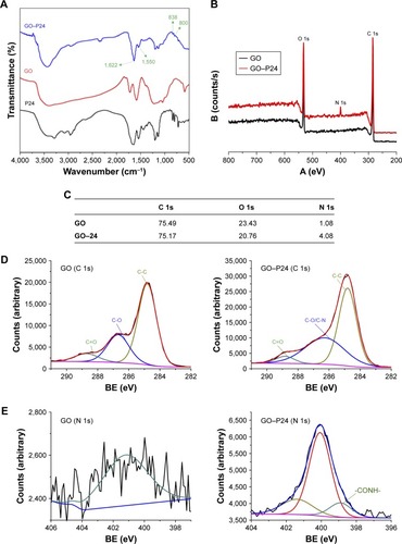 Figure 2 Surface characterization of the GO.Notes: (A) FTIR spectrum of GO, P24, and GO–P24. (B) XPS spectrum of GO and the GO–P24. (C) Quantification of atomic chemical composition of GO and GO–P24. High-resolution XPS spectra of (D) C 1s (E) N 1s peaks of GO and GO–P24.Abbreviations: GO, graphene oxide; FTIR, Fourier transform infrared spectroscopy; XPS, X-ray photoelectron spectroscopy; BE, binding energy.