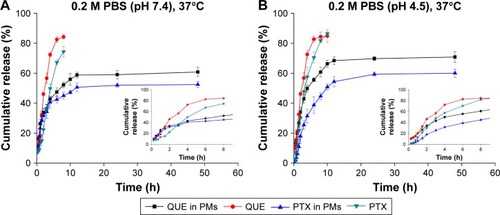 Figure 4 In vitro release profiles of QUE, PTX, and PMs obtained using the dialysis method at 37°C in (A) 0.2 M PBS (pH 7.4) and (B) 0.2 M PBS (pH 4.5). Data shown are the mean ± standard deviations (n=3).Abbreviations: QUE, quercetin; PTX, paclitaxel; PMs, polymeric microspheres; PBS, phosphate buffer saline.