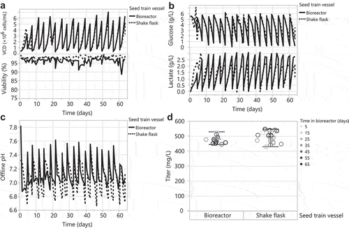 Figure 4. Scale up of the HEK293 DKO seed train from a 1 L shake flask to a controlled 35 L bioreactor. Passaging the 1 L shake flask and 35 L bioreactor every 3–4 days for 60 days: (A) VCD and viability, (B) glucose and lactate, and (C) offline pH. (D) Day 7 transfection titers from 30 mL tubespins.