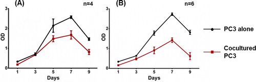 Figure 3. MSCs induce significant suppression of PC-3 viability. PC-3 cells were cultured on a monolayer of AT-MSCs (A) and BM-MSCs (B) for 9 days. Cell viability was measured by MTT test every 48 h from day 1 to day 9. Statistically significant differences, two-way ANOVA test (p < 0.0001).