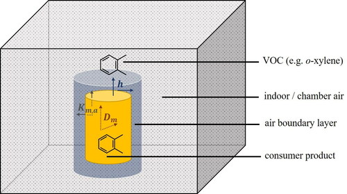 Figure 1. Physical processes involved in the emissions of volatile organic compounds (VOCs) from solid materials into indoor/test chamber air. VOC emissions are characterized by three main processes: internal diffusion (characterized by the diffusion coefficient, Dm), partitioning between the sample material surface and the surrounding air (characterized by the partition coefficient, Km,a) and external diffusion/convection (characterized by the convective mass transfer coefficient, h). The VOC depicted in this schematic is ortho-xylene.