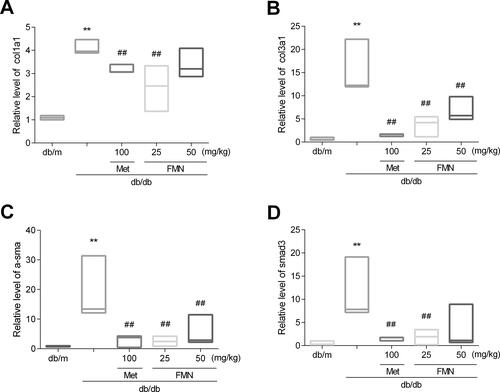 Figure 7 Effect of FMN on COL1a1 (A), COL3a1 (B), α-SMA (C), and smad3 (D) in db/db mice. Data were expressed as M(P25, P75) (n=3). **P<0.01 vs db/+ mice; ##P<0.01 vs non-treated db/db mice.