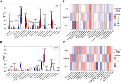 Figure 8 Immune infiltration analysis and correlation of the signature genes with immune cells. (A and B) Differential analysis of the 22 immune cells between the articular cartilage and synovial membrane of patients with OA and normal individuals in GSE11407 and GSE55235. (C and D) Correlation analysis between the signature genes and immune cells, red represents positive correlation and blue represents negative correlation,*P<0.05,**P<0.01,***P<0.001.