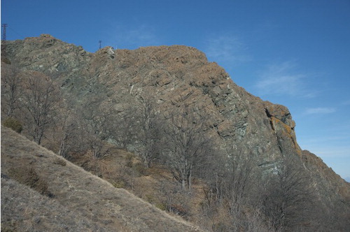 Figure 2. Massive peridotites outcrop and correspond to Mt. Prinzera's eastern slope. The picture clearly shows the pervasive planar foliation of the rock mainly due to tectonic deformation.