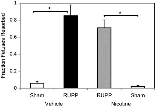 Figure 2. Nicotine does not alter the fraction of fetuses resorbed. In vehicle-treated animals, RUPP surgery (n = 7) increased pup resorptions compared to Sham (n = 7). This effect persisted with nicotine treatment in RUPP (n = 9) and Sham (n = 8). *p < 0.05.