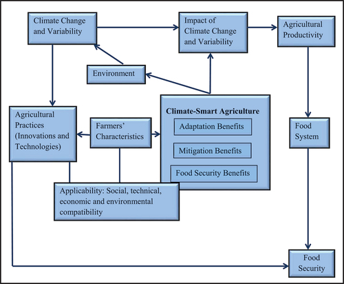 Figure 3. Conceptual framework—the influence of CSA on food security.