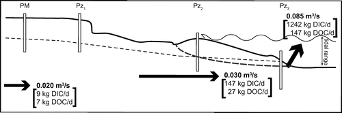 Figure 5. Schematic diagram of the hydrogeologic flow at the Martinique Beach site, indicating the potential end-member contribution to volumetric (in bold, unit: m3/s) SGD. Chemical fluxes of dissolved organic carbon (DOC) and dissolved inorganic carbon (DIC) are reported in kg/d. Diagram is not to scale. The tidal range is reported. The dashed line indicates the position of the fresh/saltwater lens. The dotted line is the position of the water table level. Weight of arrows is representative of relative flow strength.