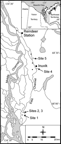 FIGURE 5. Eastern Mackenzie Delta, indicating study sites 1 to 5. The four small dots indicate additional sites where trees leaning into ice-wedge troughs were observed