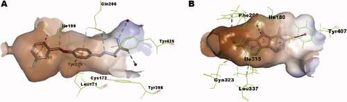 Figure 5. (A) Interactions network of safinamide within MAO-B pocket as found in the co-crystallised complex (PDB: 2V5Z); (B) Interactions network of harmine within MAO-A pocket as found in the co-crystallised complex (PDB: 2Z5X).