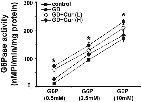 Figure 5. Effects of curcumin (Cur) on glucose-6-phosphatase activity in gestational diabetes (GD) offspring. Glucose-6-phosphatase activity in the liver of offspring was measured at birth (n = 12). *p < 0.05, compared with control and GD + cur groups.