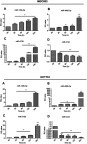 Figure S1 The alteration of miRNAs after treated with As4S4 in MGC803 and HCT116.