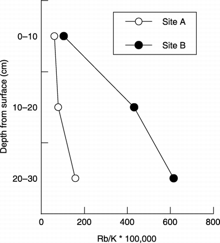 Figure 4  Ratio of exchangeable Rb and K in vertical soil profile at sites A and B. The ratio is expressed on a weight basis.