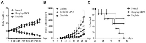 Figure 7 GPC3 nanobody inhibits tumor growth in nude BALB/c mice. Nude mice (n=6) were inoculated with HepG2 cells subcutaneously on the back of each nude mouse. After 7 days, tumor mice were treated with 10 mg/kg GPC3 nanobody, BSA (control) and cisplatin. Body weight of mice (A), tumor sizes (B), and the survival rates (C) were monitored at the indicated time points.