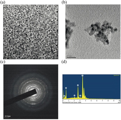 Figure 3. (a) TEM microphotograph of biosynthesized SnO2 QDs, (b) HRTEM image of biosynthesized SnO2 QDs, (c) SAED pattern of biosynthesized SnO2 QDs, (d) EDS spectrum of biosynthesized SnO2 QDs. Reprinted with permission from Ref. [Citation54]. Copyright 2015 the Royal Society of Chemistry.