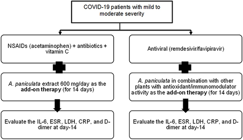 Figure 3 Proposed add-on phytotherapy algorithm for COVID-19 patients.