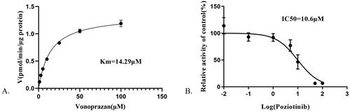 Figure 1. Michaelis–Menten kinetics (A) and the IC50 value (B) of vonoprazan in rat liver microsomes.
