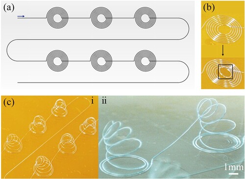 Figure 7. (a) Schematic illustration of the in-plane linear spirals (radii: 1.2 ∼ 3 mm, spacing: 0.3 mm) on PI film. (b) Warping at the central smallest curve. (c) Spatial helixes formed by the accelerated warping under 85 °C, showing the repeatable and stable shape.