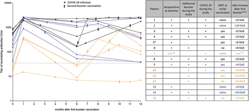 Figure 1. Quantification of SARS-CoV-2-specific neutralizing antibody titer in U/ml after booster vaccination during ofatumumab treatment. All patients with available data were included in the analysis, and individual values are represented by dots. Dotted line indicates assay-specific cutoff for seropositivity. The color scheme indicates initial neutralizing antibody titers (yellow: seronegative patients at the time of the first booster; blue: seropositive patients with moderate level of neutralizing antibody titers at the time of the first booster; black: seropositive patients with high level of neutralizing antibody titers at the time of the first booster; gray: no baseline level of neutralizing antibodies available). Time of COVID-19 infections and timing of additional boosters are indicated in the individual courses. An integrated table gives an overview of key parameters per case (sorted by the level of neutralizing antibody titers at month 12): seropositivity at the time of vaccination (+), additional booster vaccination received during the study (+), COVID-19 infection reported during the study (+), strength of increase in neutralizing antibody titers after first booster compared to baseline (<2-fold; >2-fold, >4-fold, and >10-fold); DMT received during initial vaccination (yes = continued DMT/no = DMT interrupted/naïve = no DMT prior and during vaccination). *no neutralizing antibody titer available at month 12 due to technical issues; **no baseline value; ***rounded. DMT: disease-modifying therapy; n.a.: not available; nAB: neutralizing antibody.