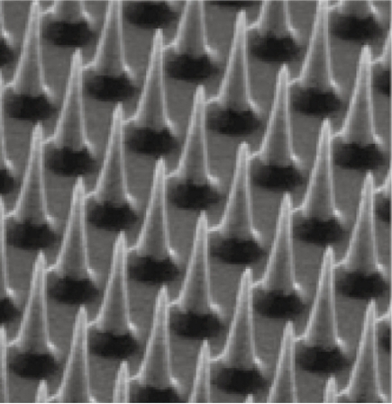 Figure 5 Scanning electron microscopy image of relatively short solid silicon microneedles (25 μm in height) prepared by reactive ion etching. These nanoparticles were designed for cutaneous gene delivery. Reproduced with permission from McAllister D, Wang P, Davis S, et al. 2003. Microfabricated needles for transdermal delivery of macromolecules and nanoparticles: fabrication methods and transport studies. Proc Natl Acad Sci U S A, 100:13755-60. Copyright © 2003 National Academy of Sciences, U.S.A.