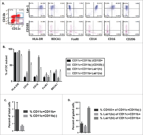 Figure 2. Similar dendritic cell subsets are present in malignant ascites from women with ovarian cancer. Phenotypic analysis of DC subpopulations in ascites from patients with high grade serous ovarian cancer (n = 17). (A) Representative dot plots of DC subsets gated by CD11c(hi)CD11b+ and CD11c(hi)CD11b(–) expression. (B) Phenotypic analysis of expression of HLA-DR, CD14, CD16, FcεR1 and BDCA1 on indicated DC subpopulations. (C) Dendritic cell populations as a percent of total cells in ascites samples from patients with high-grade serous ovarian cancer. (D) Percent of gated DC populations expressing CD103+ or Lair-1.