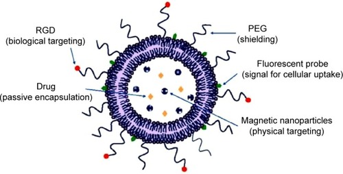 Figure 5 Scheme of multifunctional liposome for molecular imaging, drug delivery, and therapy.Abbreviations: RGD, arginine-glycine-aspartic acid; PEG, poly(ethyelene) glycol.