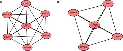 Figure 4 Module analysis of PPI network.Notes: (A) Module rank 1. This cluster contained 7 nodes and 21 edges and has the highest score in those clusters. (B) Module rank 2. This cluster contained 5 nodes and 10 edges and had the second highest score in those clusters.Abbreviation: PPI, protein–protein interaction.