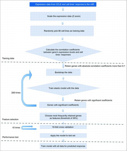 Figure 3. The work-flow for development of the response prediction algorithm.