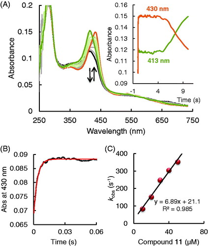 Figure 5. Reaction of EPO Compound I with 2-[(4-chlorophenyl) amino]-acetic acid (compound 11) (A) Spectral changes upon addition of 10 µM compound 11 to 2 µM Compound I in the sequential-mixing stopped-flow mode. The first spectrum was recorded at 1.3 ms, subsequent spectra were recorded at time points indicated in the spectrum. Reaction conditions: 100 mM phosphate buffer, pH 7.0, Inset shows the time traces at 413 and 430 nm. (B) Typical time trace and single exponential fit of the reaction of Compound I with 30 µM compound 11 followed at 430 nm. Final conditions were 0.5 µM EPO and 0.5 µM H2O2, 100 mM phosphate buffer, pH 7. (C) Dependency of pseudo-first-order rate constants (kobs) of Compound I reduction by compound 11.